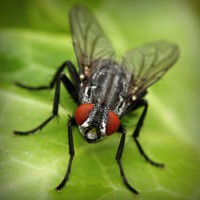 /album/zwisconsbuna/photolia-a01-jpg/