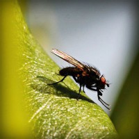 /album/zwisconsbuna/photolia-a04-jpg/