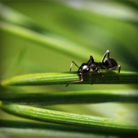 /album/zwisconsbuna/photolia-a05-jpg/