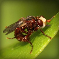 /album/zwisconsbuna/photolia-a06-jpg/