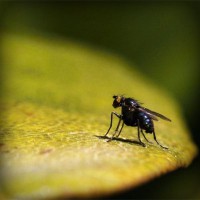 /album/zwisconsbuna/photolia-a07-jpg/