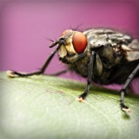 /album/zwisconsbuna/photolia-a08-jpg/